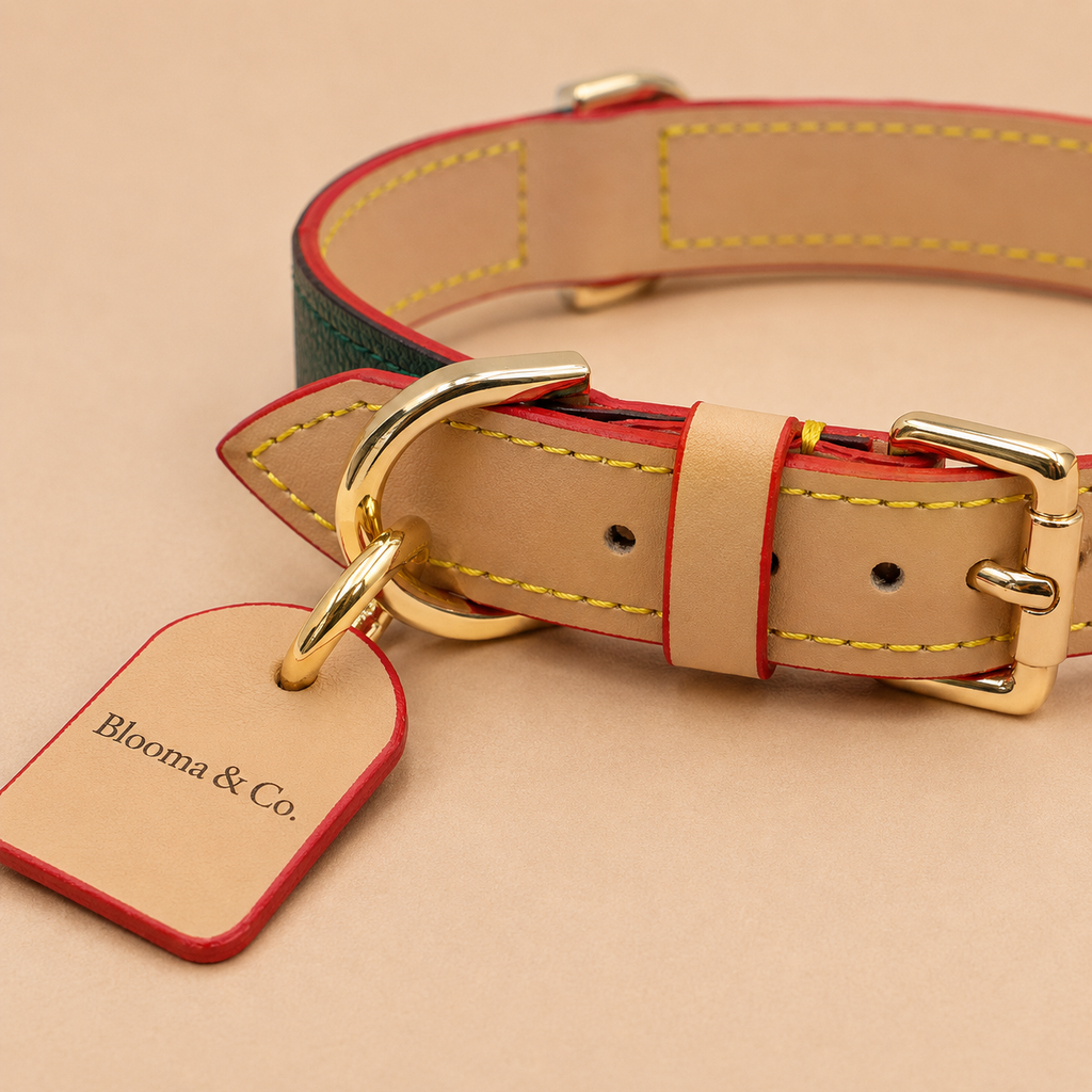 The Leather Collar