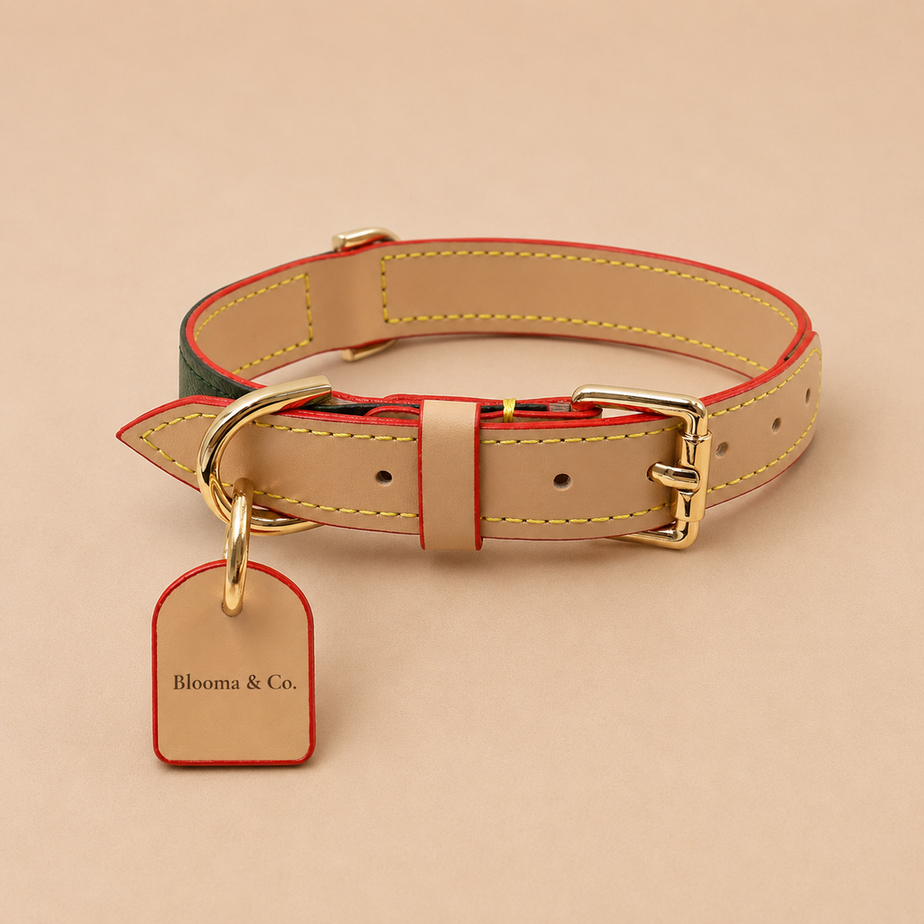 The Leather Collar