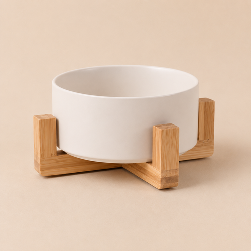 The Ceramic Bowl